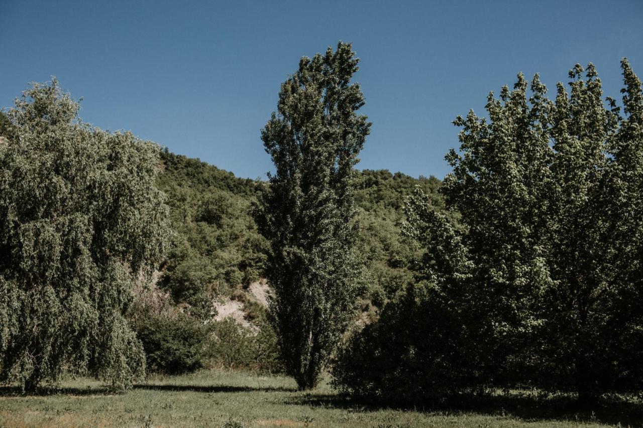 L'Anfora Country Club Bed and Breakfast Basciano Exteriör bild