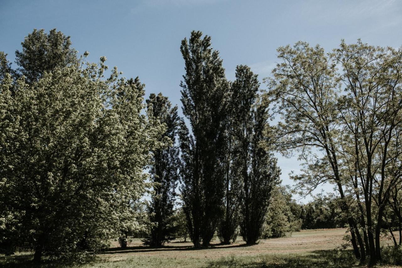 L'Anfora Country Club Bed and Breakfast Basciano Exteriör bild